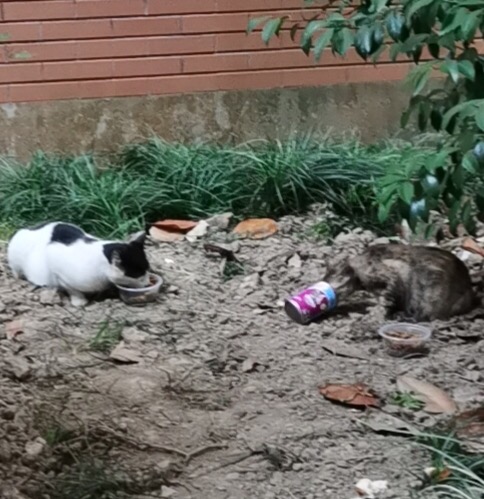 W(xu)(hu)(sh)`һɫʣ׌(i)