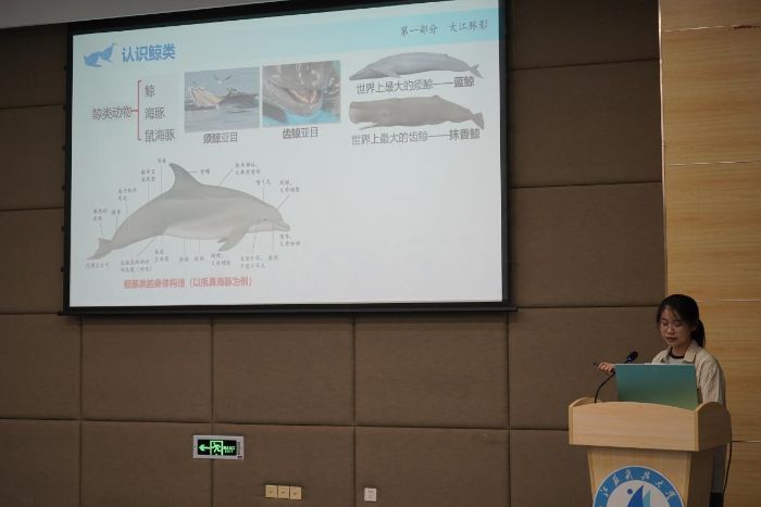 ɏһǡ ҊLϣ꺣Ļнa oࡱ c 