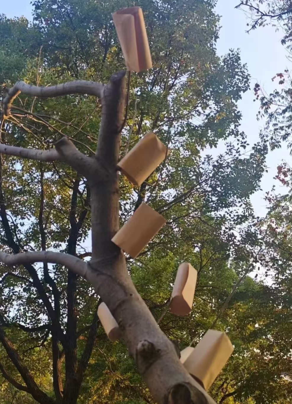 ؔ(jng)WVRWԺʮÌWg(sh)(ji)AMY(ji)