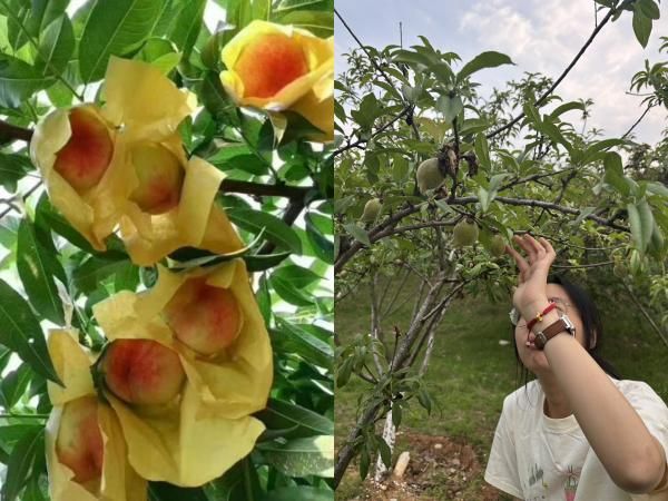 r(nng)I(y)za(chn)l(xing)ΡoaɽˮҮa(chn)I(y)(sh)`(dng)l(xing)d&#8203;