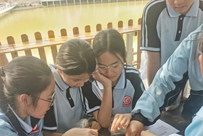 ˎ t(y)ȤW(xu)B(yng)F(tun)(du)M(jn)ɫгвt(y)ˎĻЌW(xu)(dng)