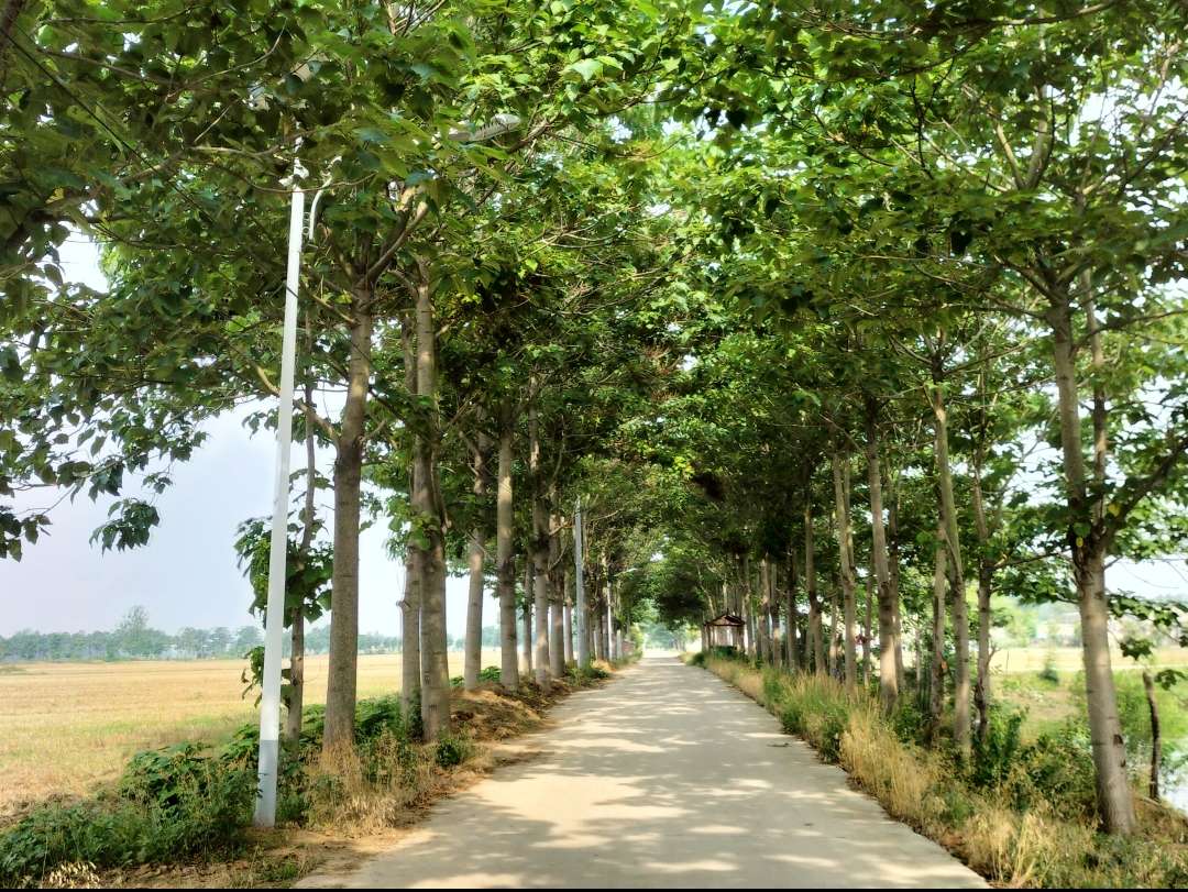 cc΢l(xing)·ȭȭW{(dio)