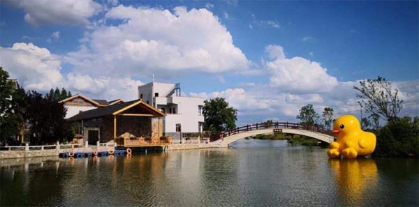 ϾͨI(y)g(sh)W(xu)Ժ\ݔW(xu)Ժ۽l(xing) l(xing)d{(dio)ЈFXҶ_չ`