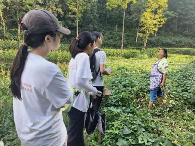 ldӣؑcWƌWWԺ ־ԸՈFꖿh~d¡