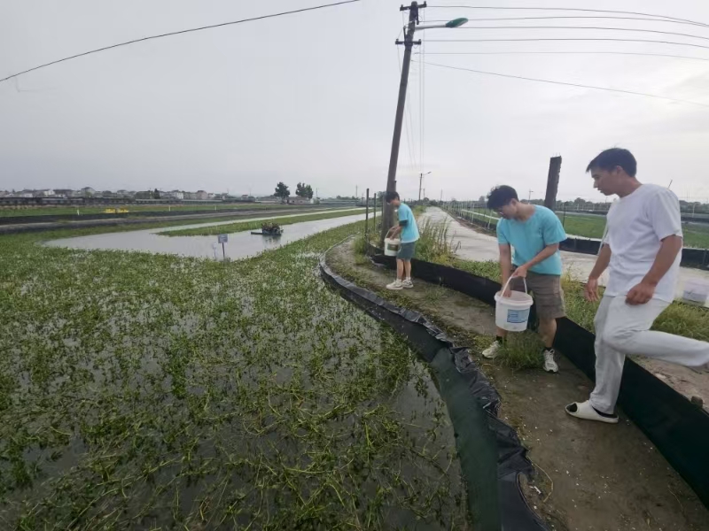 퍝O⣺rIWWӱ݅^_չˮaBֳI{