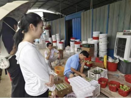 ؔؔWԺؔFɽЌ`ꠣؔWӔyֱr干IP