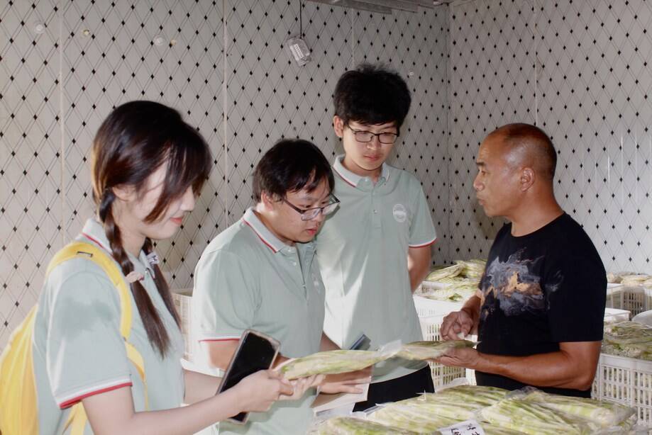 СSơ¸·˄l(xing)d韲