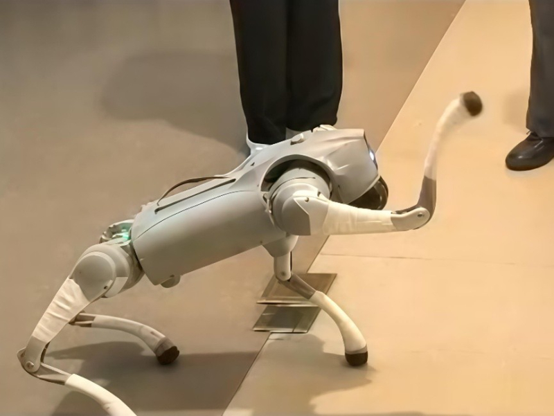 DCۼΈ@B^L߂к΁骔z