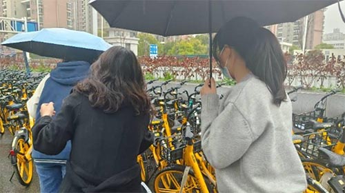 ܇wλλ h2205F֧_չ^}Fջ