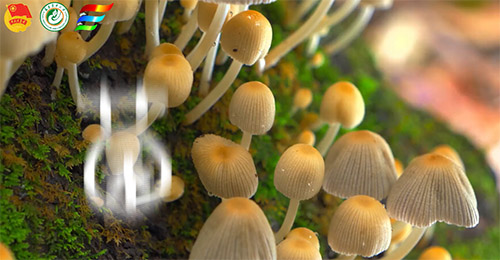 ҊCƼxܾI(y)l(f)չഺl(xing)dr(nng)ִW ǻ۾I(y) `