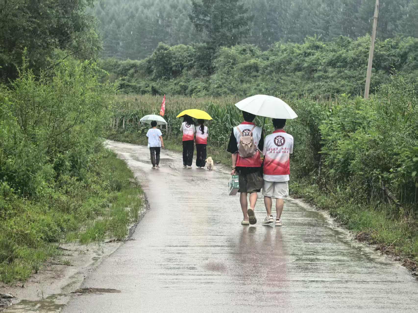 Ľ} ഺꡪWl(xing)ϪMĻ̽Lӛ