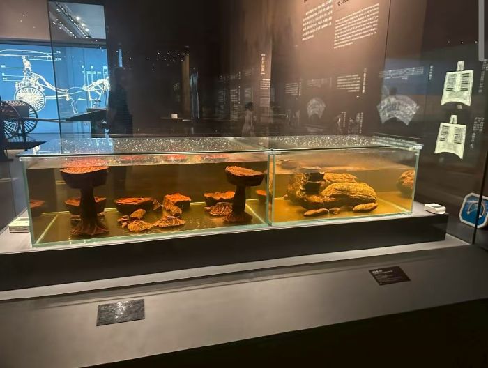 C늌WԺl̽؉ۿh^гĻ