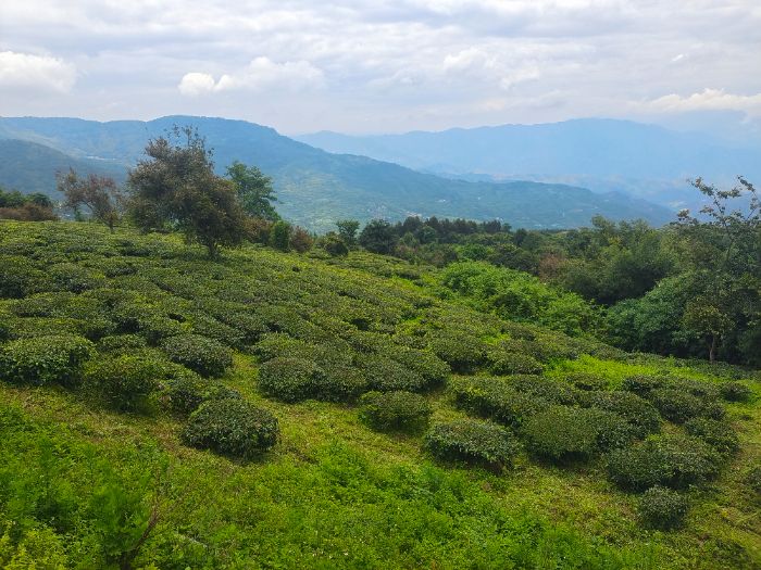 pؿhɫaIxldɽںϼh򽛝