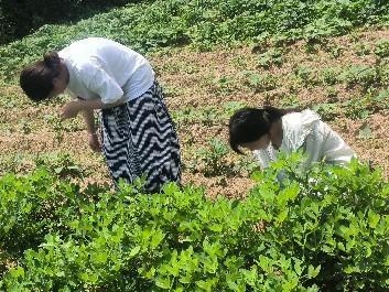 ഺҰgЌ`dWԺWWӸҦ״_չl`Ӽo