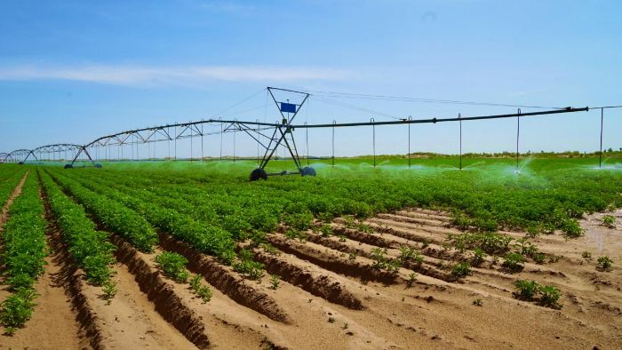 l(xing)|ؔ(jng)Wr(nng)hꠣƼxa(chn)I(y) ഺl(xing)d