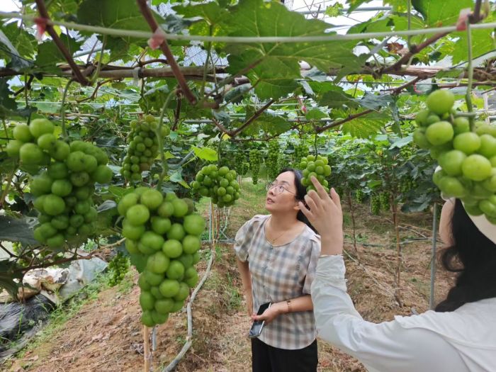 ̼ť`MϣM۶أal(xing)d˼ܴa