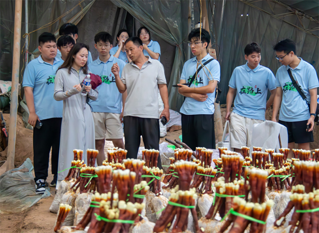 ɽ|ͨW(xu)Ժ_չr(nng)`ӣഺ`ڿhУ`֥a(chn)I(y)d