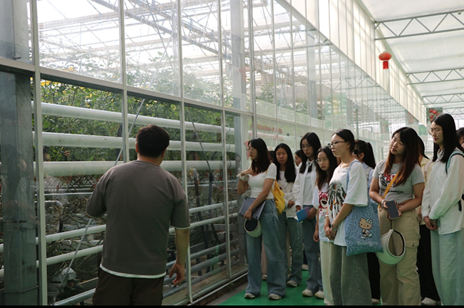 ^p(qing)fd塱Ll(xing)D