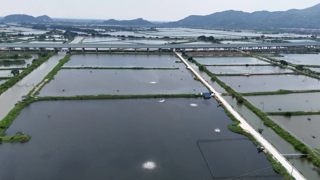 {ƪ|Vݹ̌WԺӼthꠌԒɿˮaLǧfD