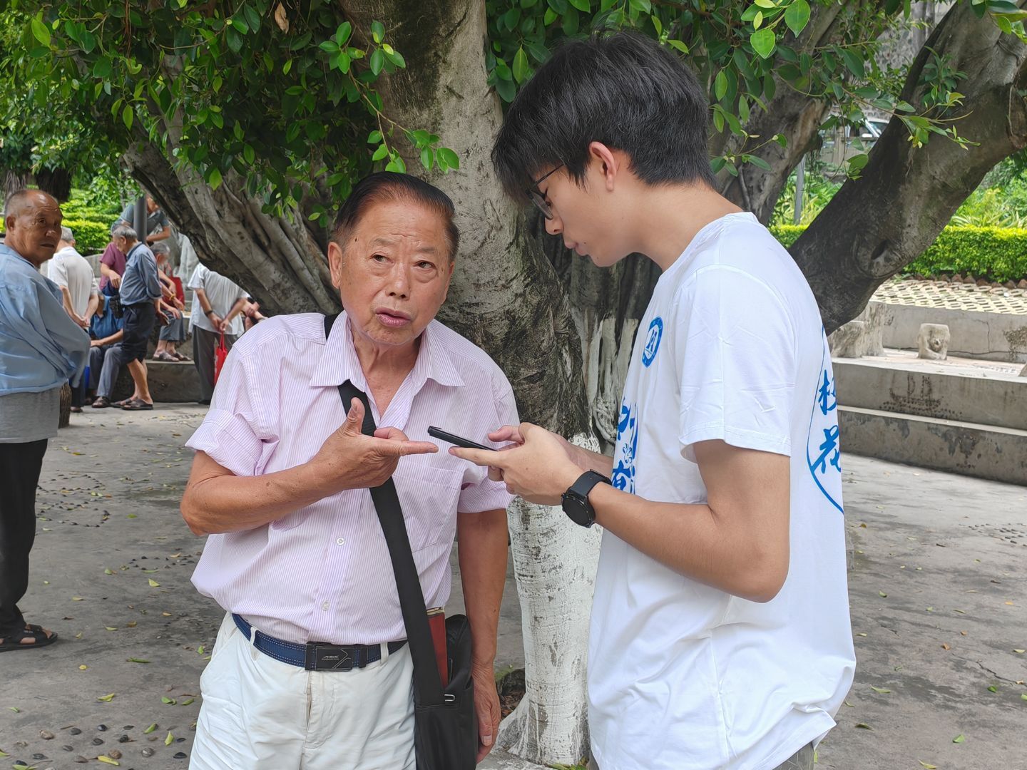 ֦W(xu)ԺW(xu){(dio)нʾ֦ԾȻȼ^(q)֧֬F(xin)