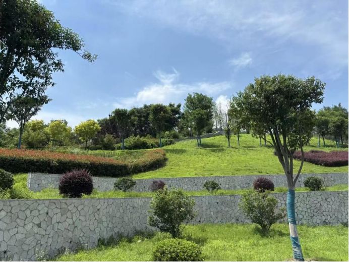 W(xu)Ժ̽B(ti)ޏ(f)cĻ֮·