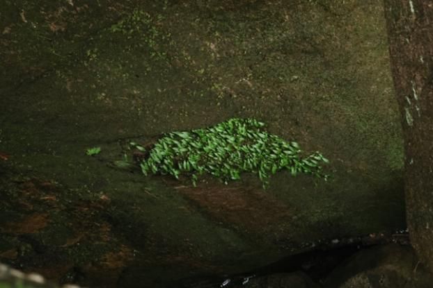 t(y)ˎW̫ɽƿ@Ҫl(f)F(xin)  ϡmNȺչF(xin)B(ti)orֵ