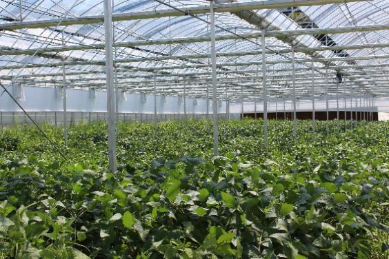 о  Lо; | 㽭̴W(xu)(hu)(sh)`F(tun)̽LǾƼNֲ