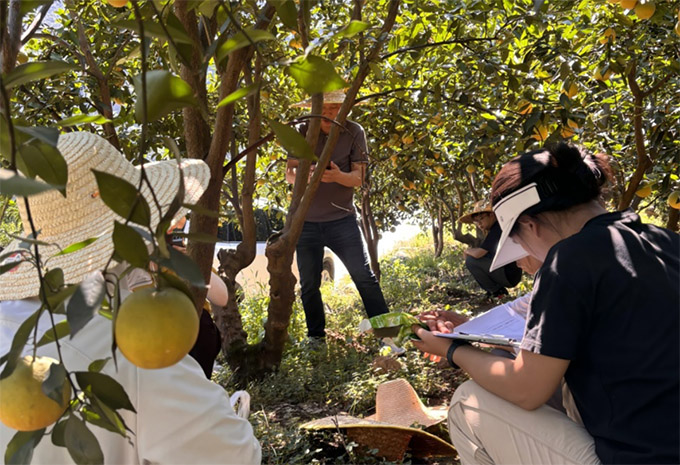 Ar󡰳ĳ⡱`FɵؿƼxܸƷ|ld