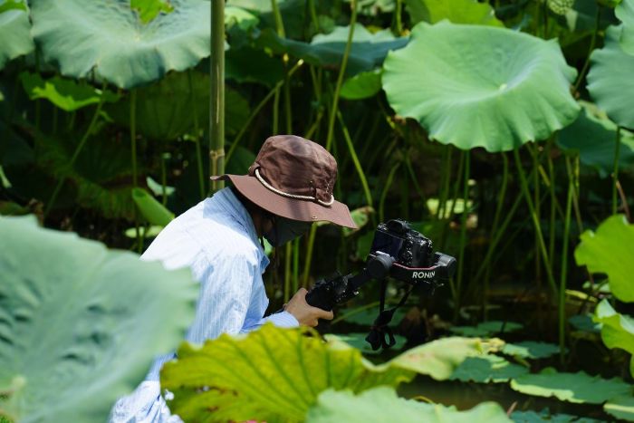 V|ؔWǅRld`FR^睿̅ldӡӛ