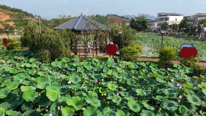 V|gWWĄIP󼤻GPl}OӋ\ɏɏľ͡xlBں