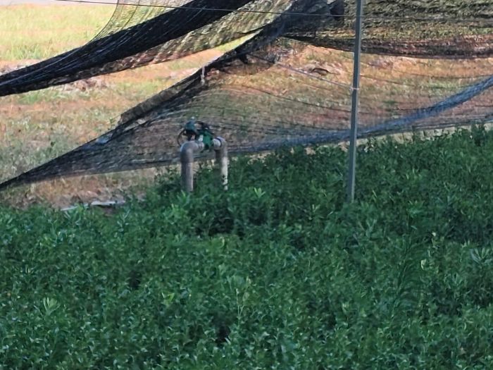 rֿƼW܌WԺǡݡ`F_չ{л