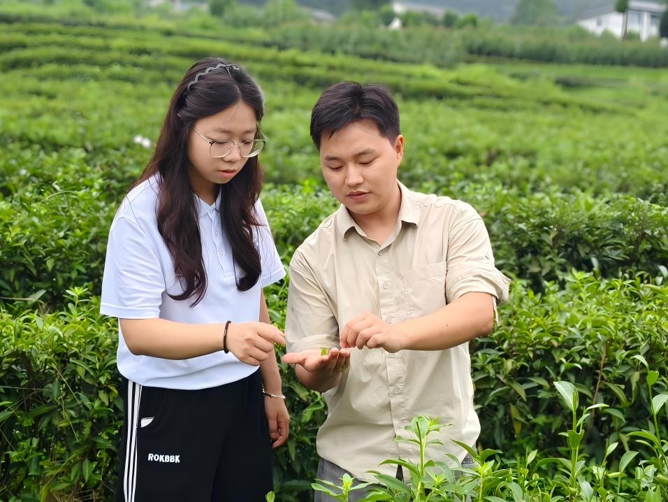 aa(chn)I(y)ںϵl(xing)dഺ