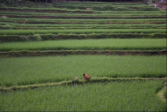 ˮ֌WԺl`FMѹŴ壺{ˮza