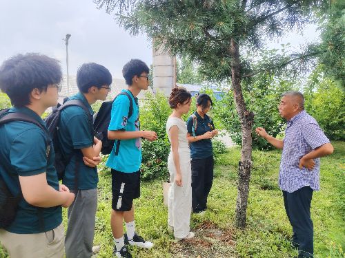 Ӌ(j)tɔ(sh)(sh)`F(tun)һ(chng)Խɽӵഺ(sh)`c