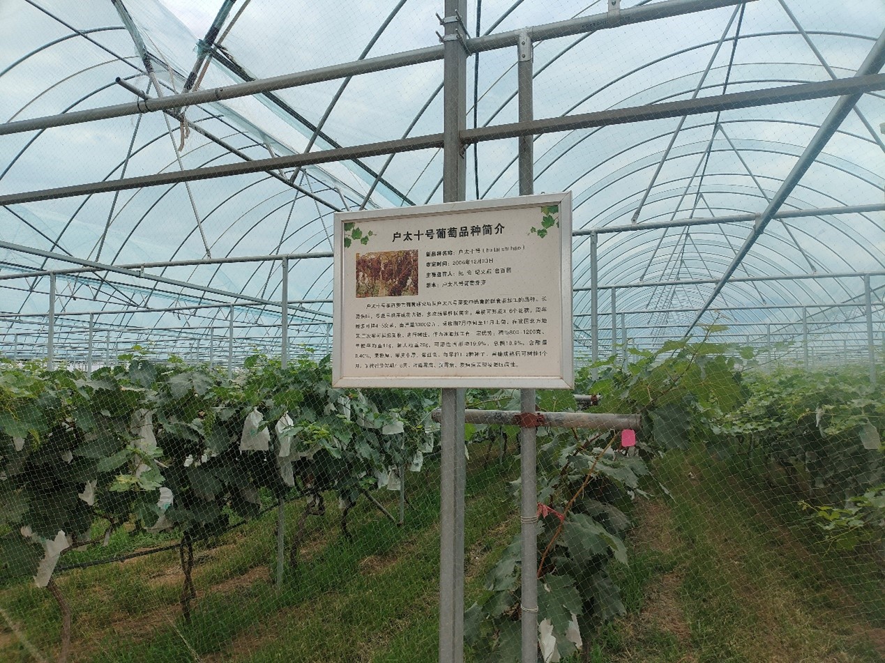 ؎X ǻxܟ ]늴W㳯ѮaI@_չl`