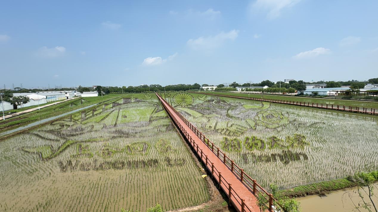 Сվhfң׌fԒϕ^cȼlßᳱ