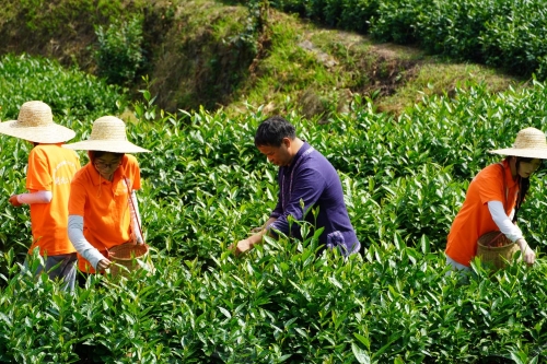 ഺҊzϹ̴W(xu)W(xu)̽عëǧ