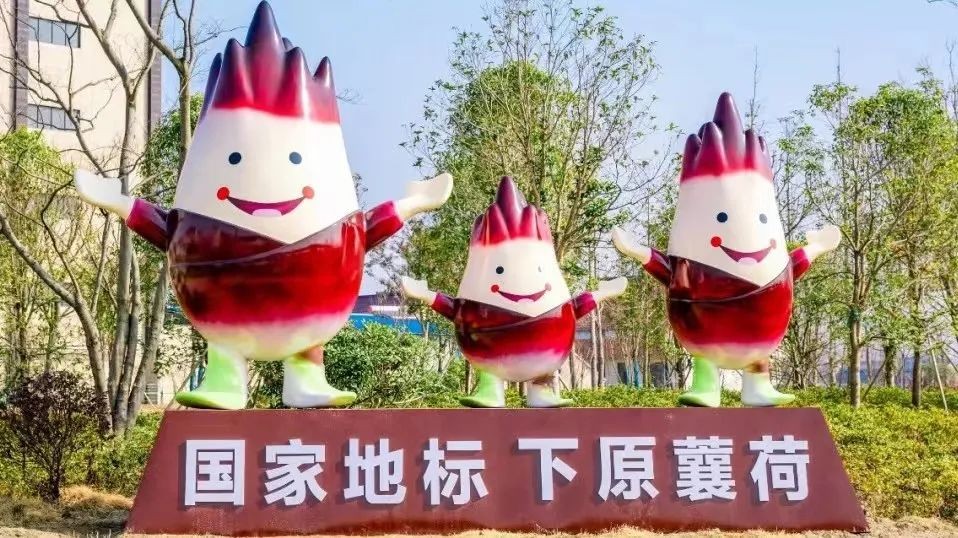 AW(xu)cɡɽ׌ԭZɏgСˡ׃a(chn)I(y)͡