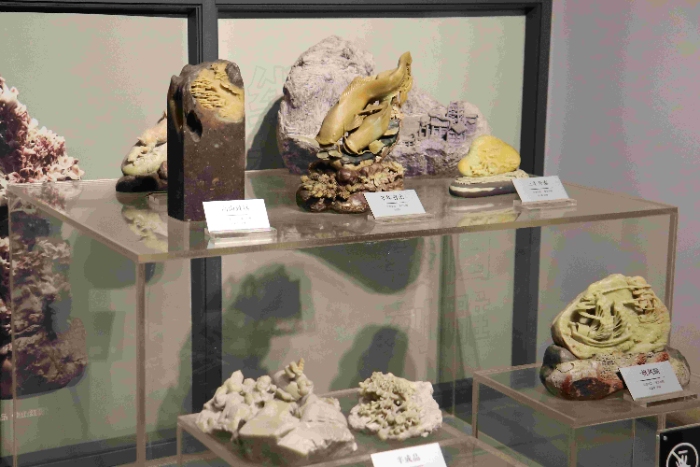 С̽zؔ(ci)W(xu)ӳʽaˮĻ