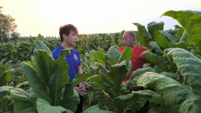 ӿƴr(nng)ƌW(xu)ӣՓČڟഺxl(xing)d