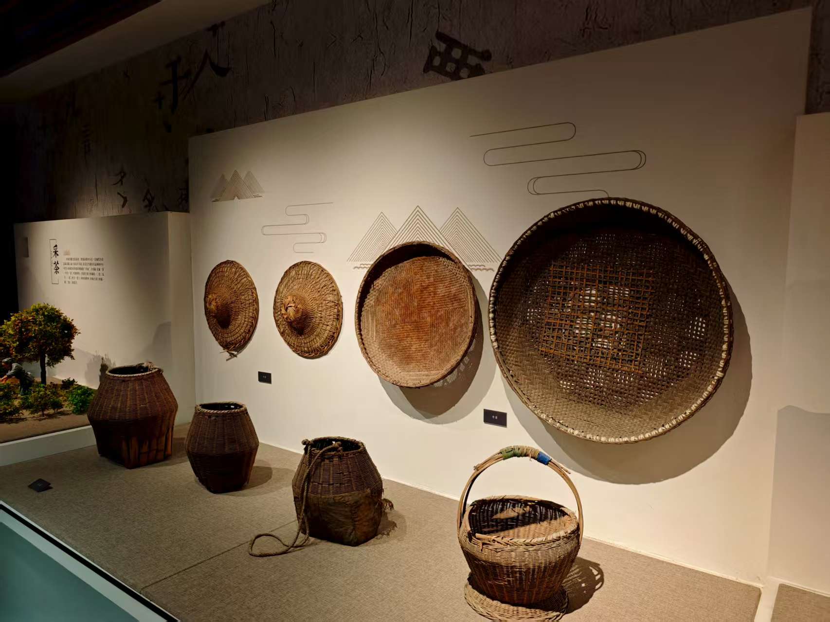 ݌WԺWӽկlʢLl ̽Ļ