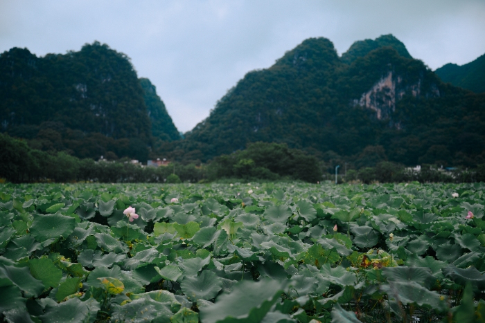 VAW(xu)̤ʮ ̽(sh)(chng)