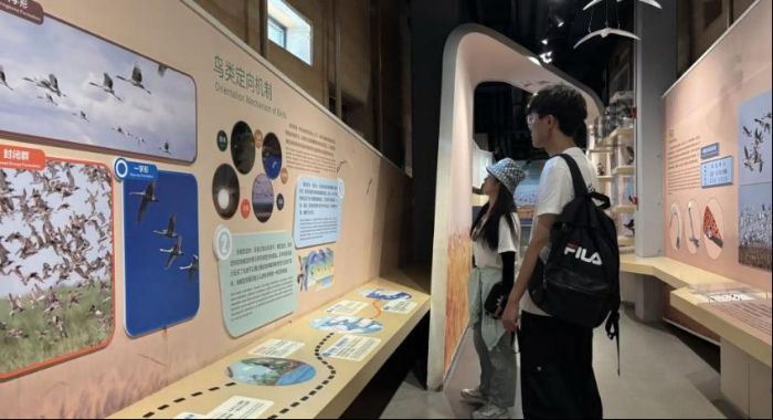 ഺGˮɽrWʮʡo^̽ں֮