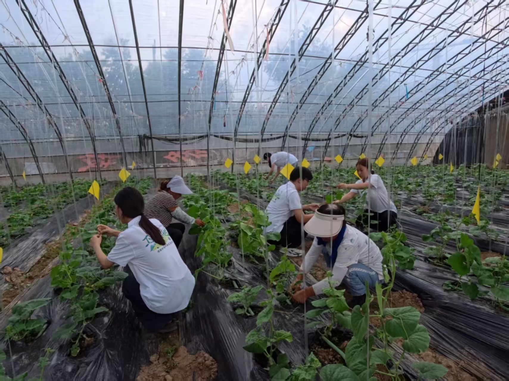 NϏоl(xing)-Ƽ̎҂ഺĴ