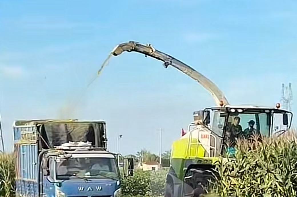 urIWݘIWԺݘIh`Flh{ɳmlչ