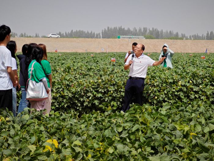 ۽ݳǿhޅ^(q)`F(tun)yC̼ģʽ̼pЧ