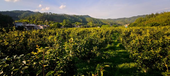 (dng)ഺҊl(xing)҂M