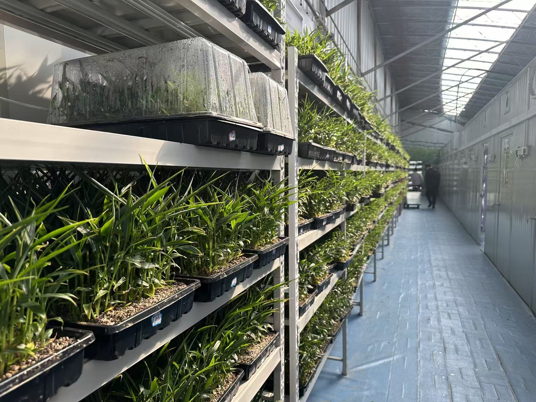 ƴ󡮼dS(sh)`(du)ഺՓČڞHf(wn)ľGɫ