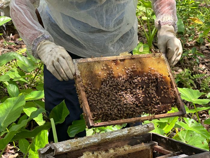 롰ۡhh(yun)Vχ|P(yng)ꠡӿ{(dio)ЈF(tun)_չ^ۮa(chn)I(y){(dio)