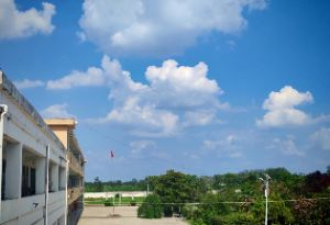 nc(din)l(xing)庢֪R(sh)(mng)չ̴W(xu)־ഺF(tun)(du)_չ١l(xing)(hu)(sh)`(dng)